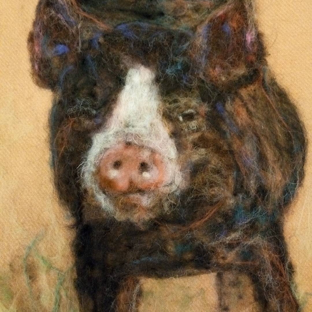Berkshire Pig #sheepdroveorganicfarm #pig #animal #farm