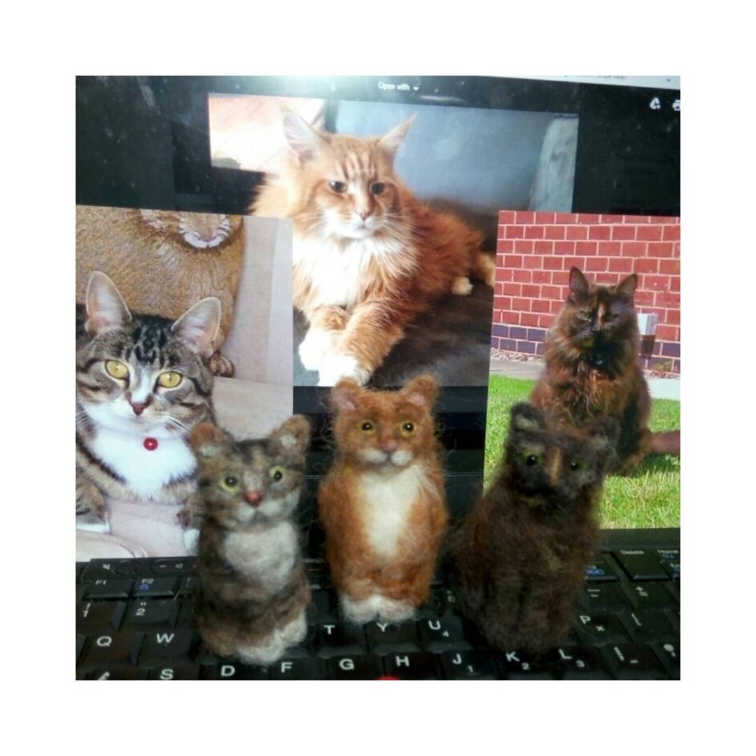 "Thank you for making these for my grandchildren" Sharon
#catsofinstagram #pets
