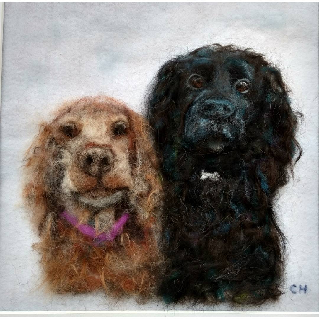 Ruby and Casey: “I’m so pleased, it looks just like them Carol, thank you so much!” Kerry