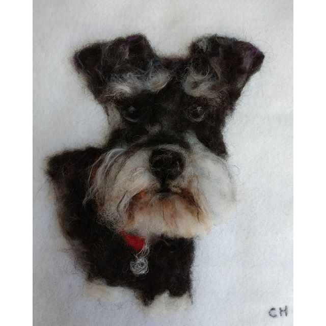 Archie: “Richard loves his portrait of Archie and is very impressed by the likeness and the technique…Thanks so much for producing such a gorgeous gift.
Best wishes Terri”
#3d #schnauzer #dogs #needlefelting