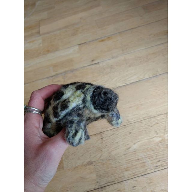 Horsfield’s Tortoise, Jenson: “Well, we are both gobsmacked, he’s fantastic, well done and thank you” Richard and Sue x
#needlefelt #tortoise #pet #russiantortoise #horsfieldtortoise